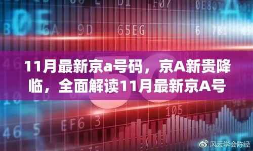 11月最新京a号码,京A新贵降临,全面解读11月最新京A号码