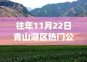 青山湖区秋日秘境之旅,追寻自然美景,探寻内心宁静的秋日体验