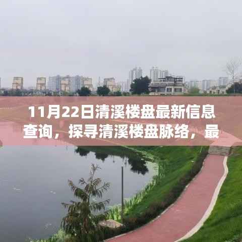 探寻清溪楼盘脉络，最新信息查询与深度剖析