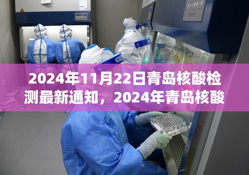 青岛核酸检测最新通知解析,关于2024年11月22日的最新通知