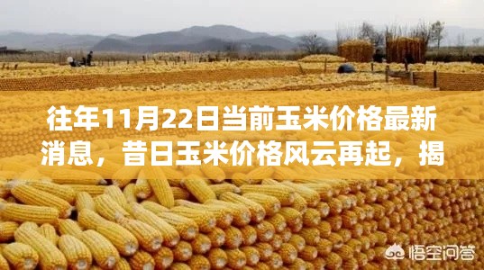 揭秘往年11月22日玉米价格风云再起,最新动态与市场趋势分析