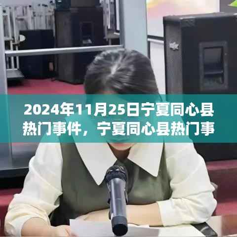宁夏同心县热门事件深度解析,细节揭秘与用户体验洞察(2024年11月25日)