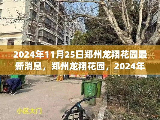 郑州龙翔花园深度观察与最新消息,2024年11月25日报告发布