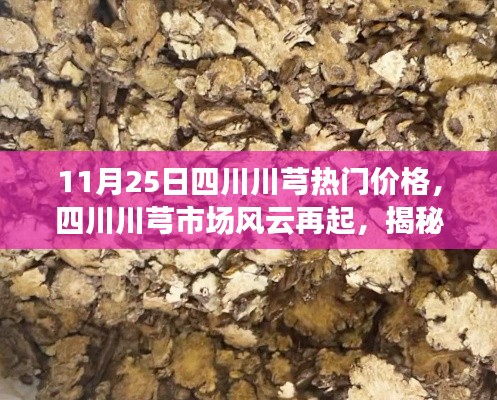 揭秘四川川芎市场风云,11月25日热门价格背后的故事