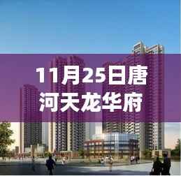 11月25日唐河天龙华府热门消息,唐河天龙华府项目深度评测,特性解析、用户体验与目标用户群体洞察