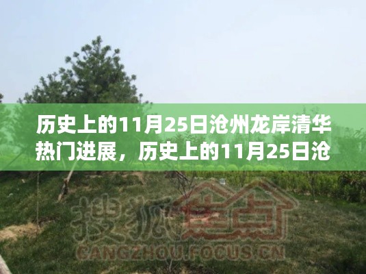 探寻自然美景,寻找内心平静,沧州龙岸清华热门进展之旅的11月25日历史回顾