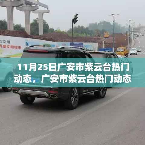 广安市紫云台热门动态热议,聚焦某观点探析