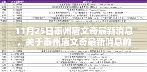 11月25日泰州唐文奇最新消息，关于泰州唐文奇最新消息的深度解析（要点详解）
