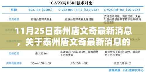 11月25日泰州唐文奇最新消息,关于泰州唐文奇最新消息的深度解析(要点详解)
