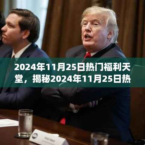 揭秘2024年11月25日福利天堂,三大要点深度解读与热门福利一网打尽!