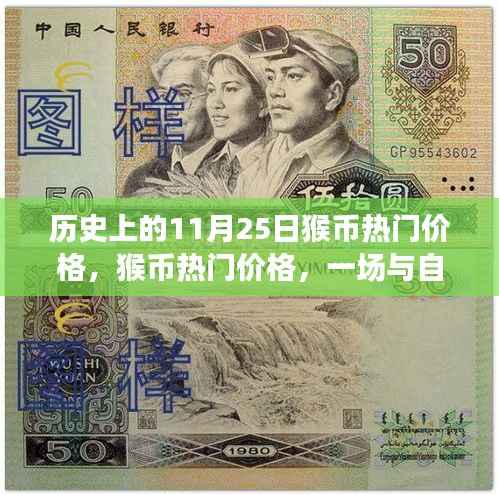 猴币热门价格揭秘,与自然美景的邂逅之旅的历史回顾与趋势分析