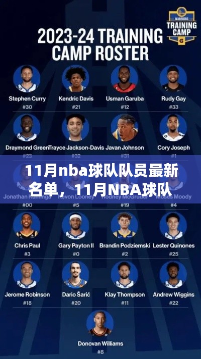 11月NBA球队队员最新名单,深度评测与全面介绍