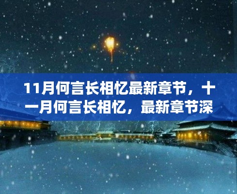 深度解析与背景探讨，最新章节十一月何言长相忆揭秘