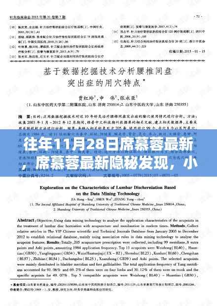 席慕蓉最新隐秘发现,小巷深处的特色小店,往年11月28日最新报道