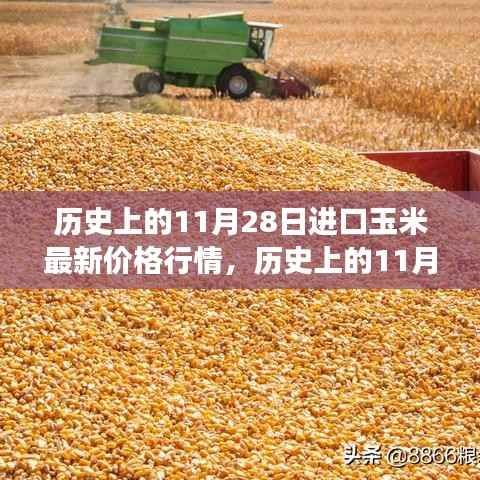历史上的11月28日进口玉米价格行情深度解析,最新行情分析与三大要点解读