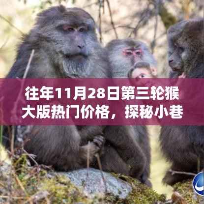 探秘猴大版宝藏店,揭秘往年11月28日三轮猴大版热门价格神秘面纱