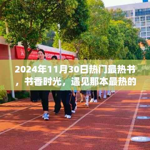 书香时光,遇见热门最热书,探索知识之旅