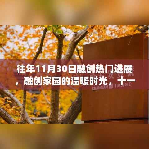 融创家园的温暖时光,十一月三十日的日常进展与故事