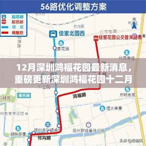 深圳鸿福花园十二月最新动态揭秘,重磅更新消息🔥