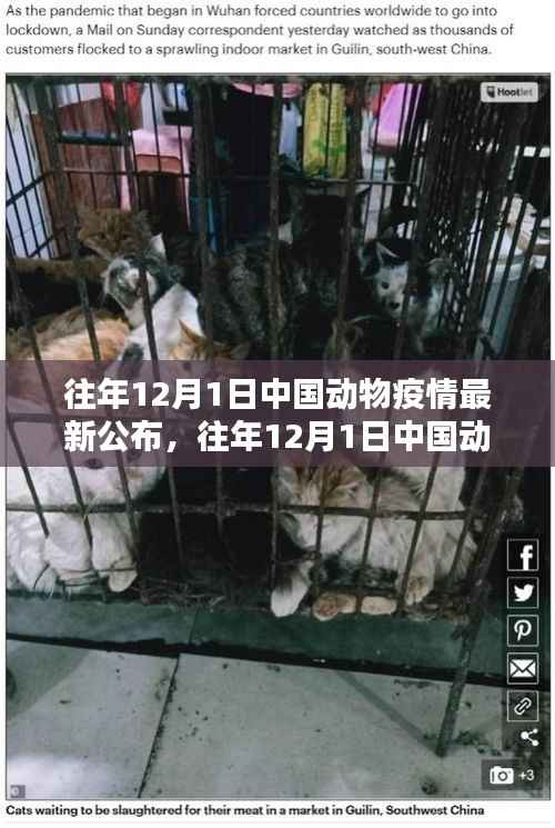 中国动物疫情最新公布深度解析与案例探析——历年12月1日报告综述