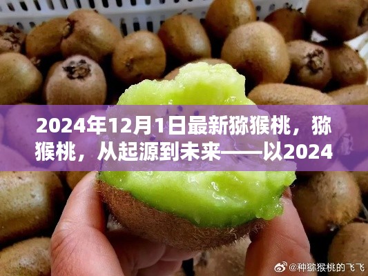 猕猴桃的起源与未来展望,以猕猴桃产业在2024年12月1日的变革为视角