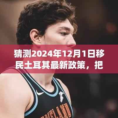 2024年土耳其移民新政策预测，把握机遇，扬帆启程，共筑未来梦