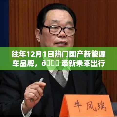 历年12月最受瞩目的国产新能源车品牌,科技革新引领未来出行体验