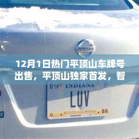 平顶山独家首发智能车牌交易系统,驾驭未来的科技车牌之旅