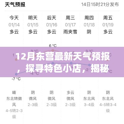 东营天气预报揭秘,小巷特色小店与气象万千的风味探寻