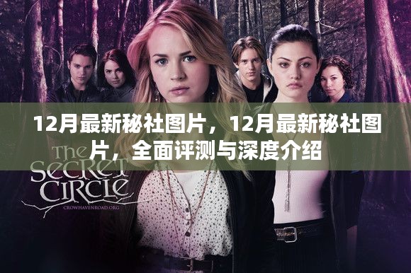 最新秘社图片大放送,全面评测与深度介绍