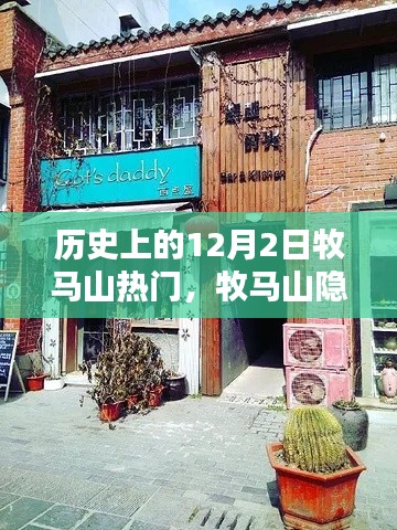 牧马山隐藏小巷的神秘宝藏,探寻历史气息中的特色小店之旅——12月2日热门回顾