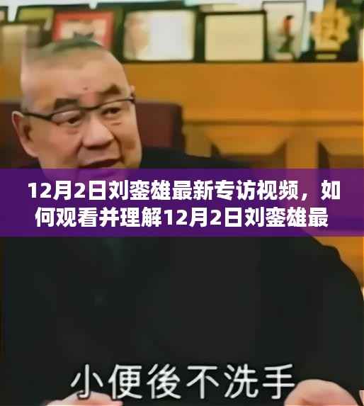 刘銮雄专访视频指南,观看与理解步骤详解