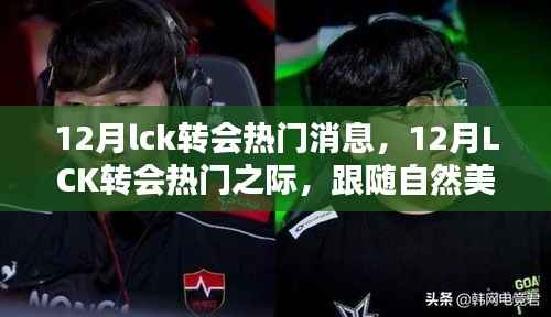 12月LCK转会风云之际,追寻自然美景的脚步,探寻内心宁静与平和