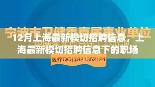 上海最新模切招聘信息揭秘,职场机遇与挑战展望