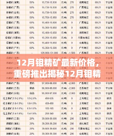 揭秘,科技巨献下的钼精矿最新价格,体验未来矿业魅力!