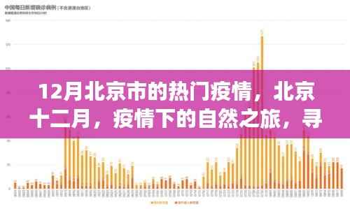 北京十二月疫情下的自然之旅,寻找内心宁静与力量