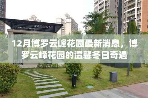 博罗云峰花园冬日奇遇,最新消息一览