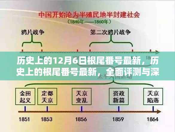 历史上的根尾番号最新揭秘，全面评测与深度解析