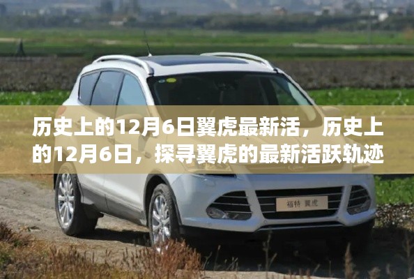 历史上的12月6日,探寻翼虎的最新活跃轨迹揭秘