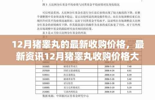 揭秘,最新资讯!12月猪睾丸收购价格走势大解析