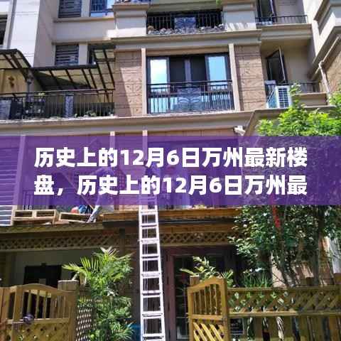 历史上的12月6日万州最新楼盘深度解读与发展展望,最新楼盘动态与未来趋势分析