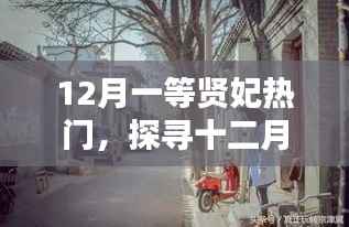 十二月贤妃宝藏,探寻小巷特色小店的独特魅力