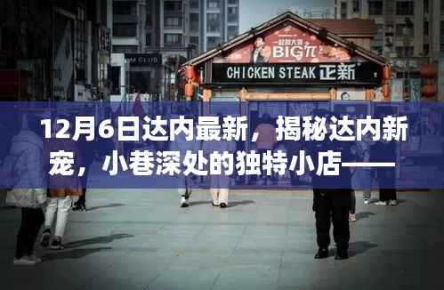 达内最新探访揭秘,小巷深处的独特小店——达内新宠探访之旅(12月6日)