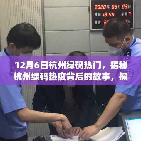 揭秘杭州绿码热度背后的故事,探寻十二月六日的独特魅力