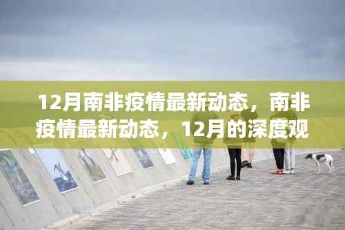 南非疫情最新动态深度观察,12月疫情趋势及其影响分析