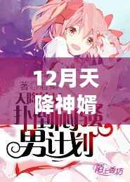 神婿天降，揭秘十二月热门章节背后的情感与观点碰撞
