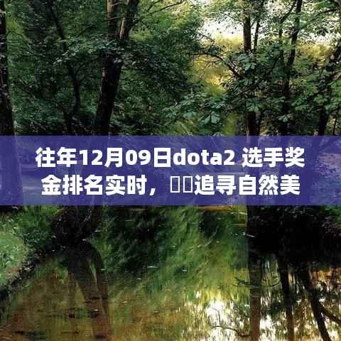 追寻自然美景之旅,DOTA2奖金背后的静谧力量——历年奖金排名实时回顾