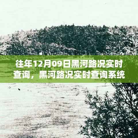 往年12月09日黑河路况实时查询系统详解与观点阐述