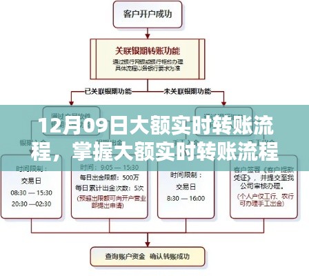 12月09日大额实时转账操作指南与流程解析