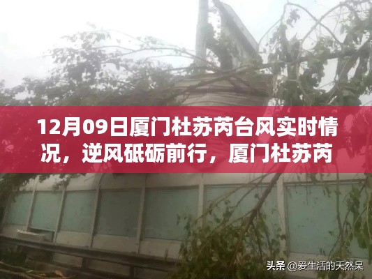 厦门杜苏芮台风下的逆风砥砺前行,实时情况及励志篇章